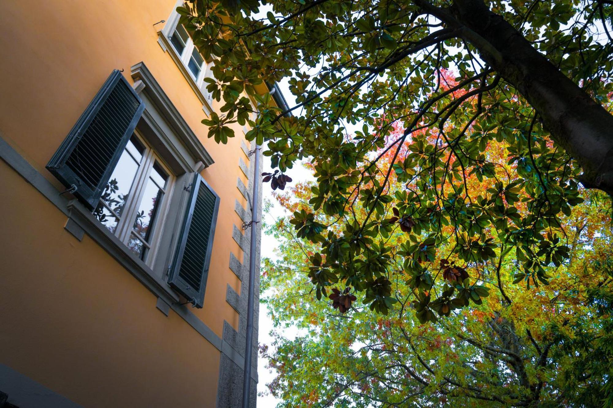 Villa Ines Charme Near Lucca Altopascio Bagian luar foto